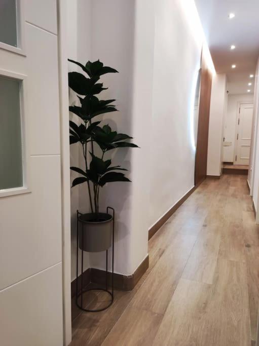 Apartamento Sierra-Sol Ронда Экстерьер фото